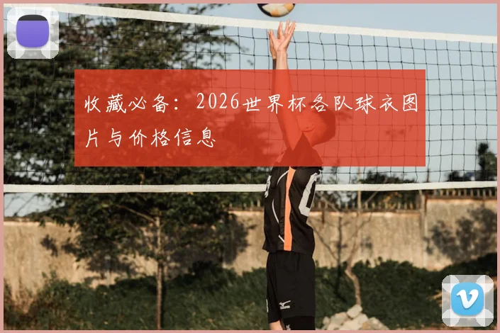 收藏必备：2026世界杯各队球衣图片与价格信息